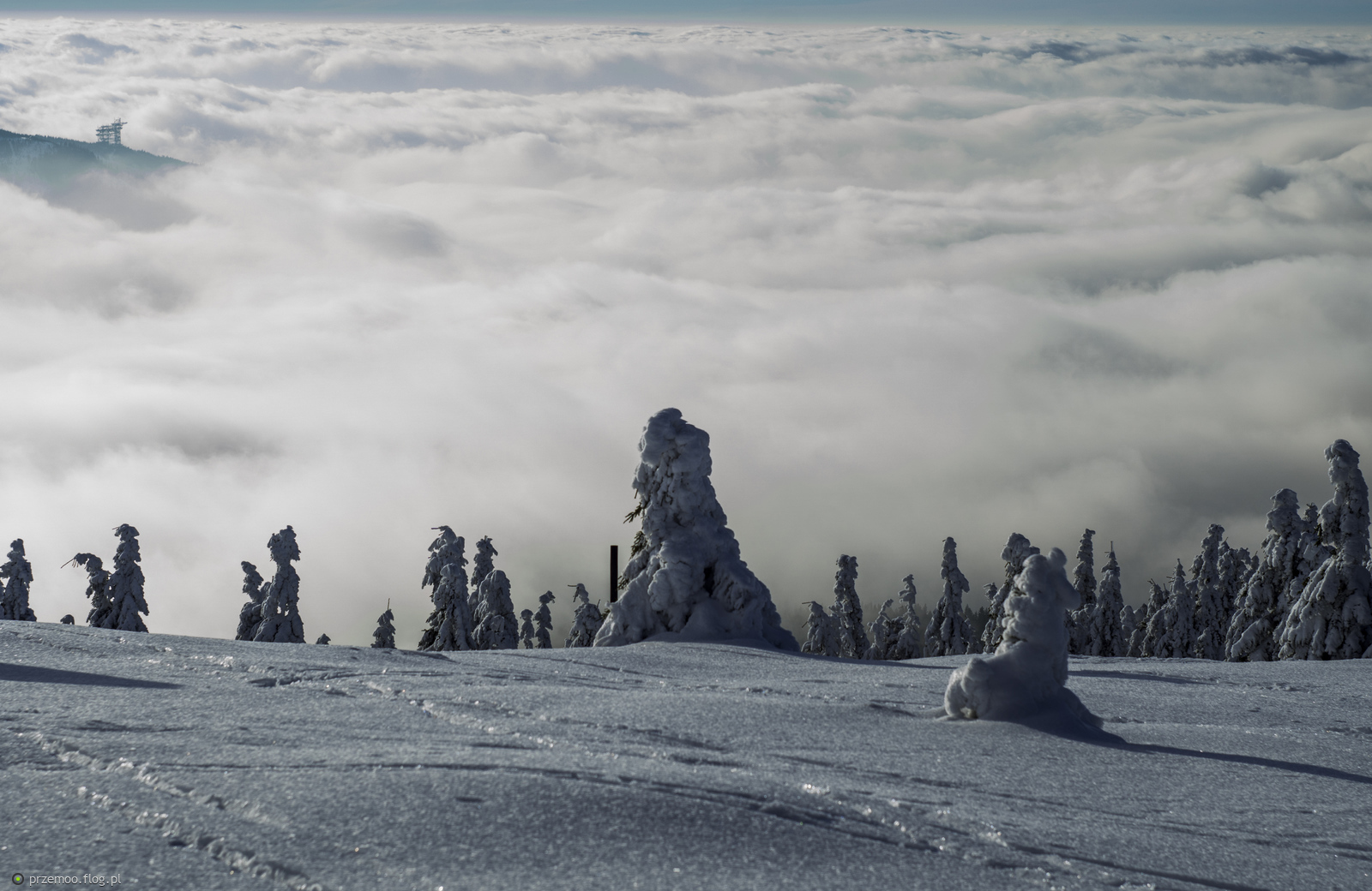 s24.flog.pl/media/foto/12329987_snieznik-klodzki-1426m-npm.jpg