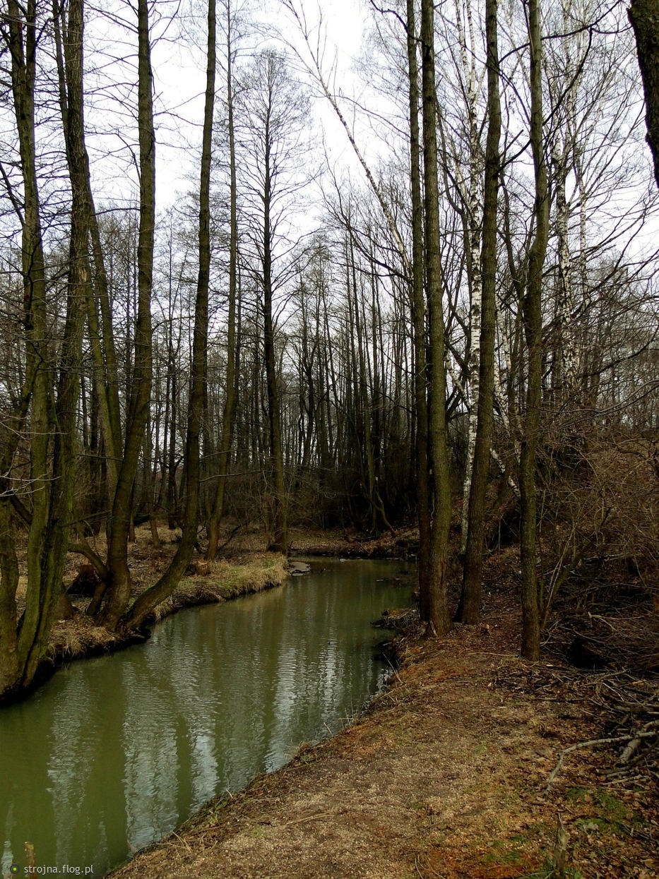 Silnica Kielce Fotoblog Strojnaflogpl